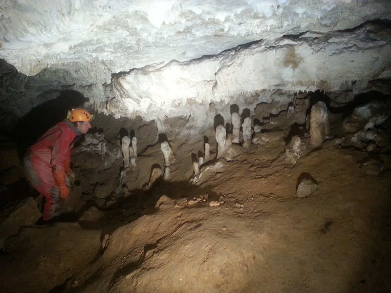 Grotte de Divonne - fameuses stalagmites en massues (Photo G. Favre)